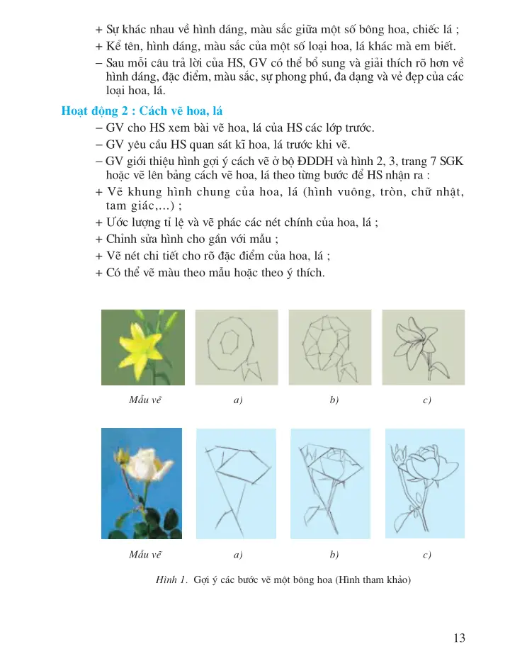Bài 2: Vẽ theo mẫu Vẽ hoa, lá